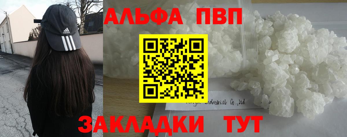 Alfa_PVP СК КРИС Волхов