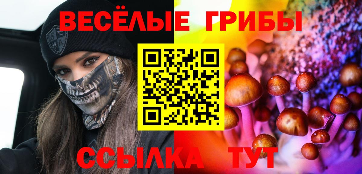 Псилоцибиновые грибы ЛСД Волхов