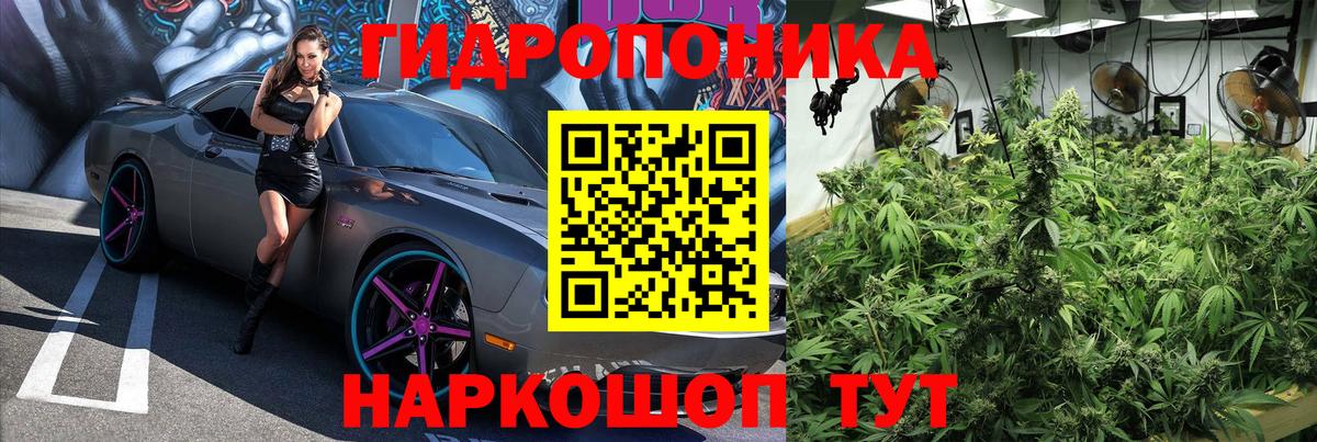 Волхов  Бошки Шишки тримм  Бошки Шишки марихуана  Вход с VPN 